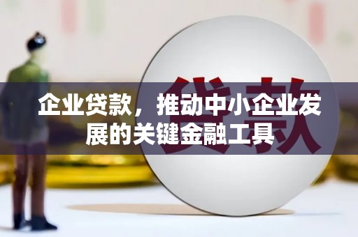 长岭企业贷款，推动中小企业发展的关键金融工具