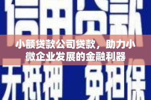 长岭小额贷款公司贷款，助力小微企业发展的金融利器