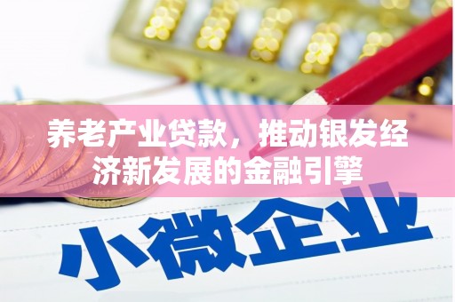 长岭养老产业贷款，推动银发经济新发展的金融引擎
