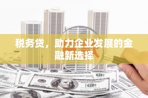 长岭税务贷，助力企业发展的金融新选择