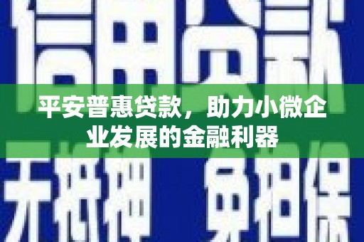 长岭平安普惠贷款，助力小微企业发展的金融利器