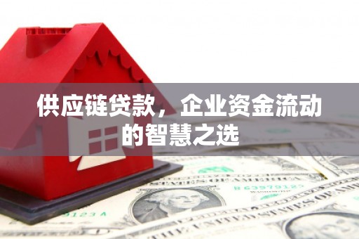 长岭供应链贷款，企业资金流动的智慧之选
