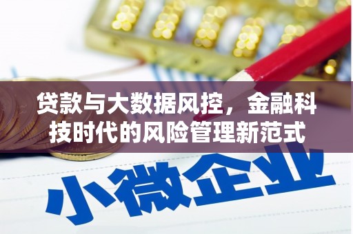 长岭贷款与大数据风控，金融科技时代的风险管理新范式