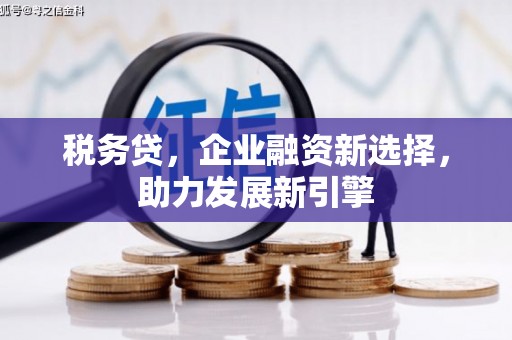 长岭税务贷，企业融资新选择，助力发展新引擎