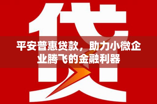 长岭平安普惠贷款，助力小微企业腾飞的金融利器