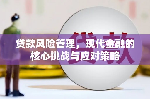 长岭贷款风险管理，现代金融的核心挑战与应对策略