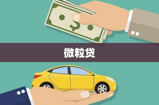 长岭微粒贷