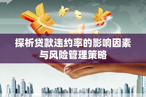 长岭探析贷款违约率的影响因素与风险管理策略