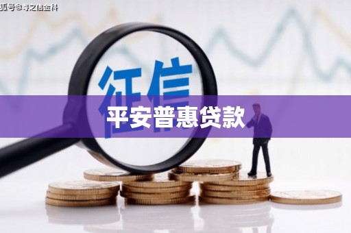 长岭平安普惠贷款