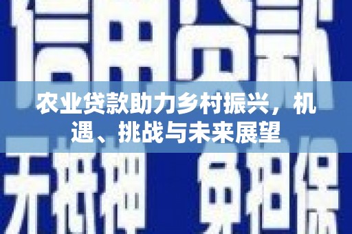 长岭农业贷款助力乡村振兴，机遇、挑战与未来展望