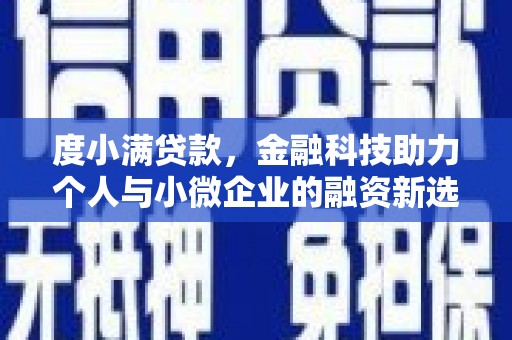 长岭度小满贷款，金融科技助力个人与小微企业的融资新选择
