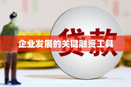 长岭企业发展的关键融资工具