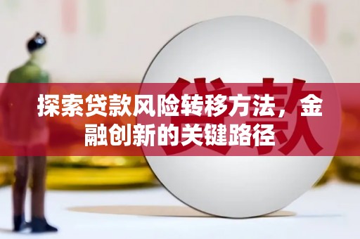 长岭探索贷款风险转移方法，金融创新的关键路径