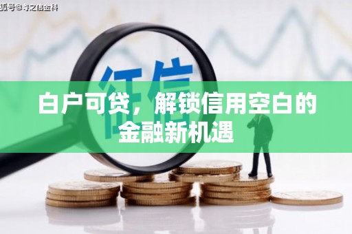 长岭白户可贷，解锁信用空白的金融新机遇