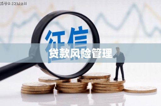 长岭贷款风险管理