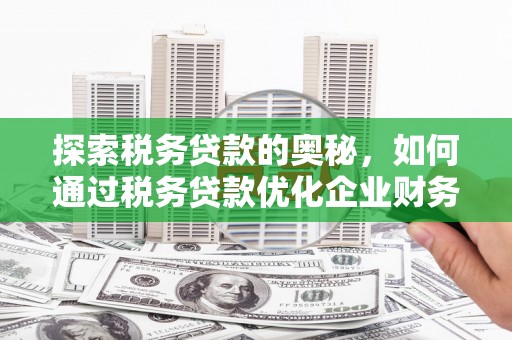 长岭探索税务贷款的奥秘，如何通过税务贷款优化企业财务