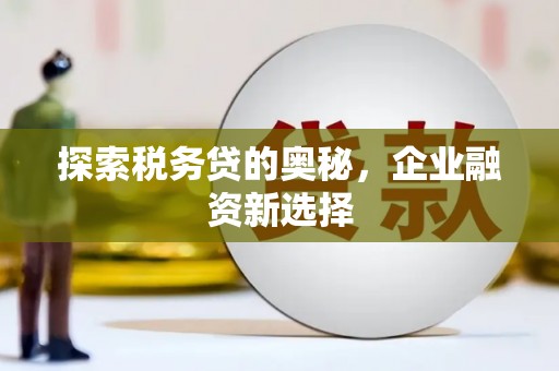 长岭探索税务贷的奥秘，企业融资新选择