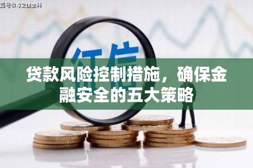 长岭贷款风险控制措施，确保金融安全的五大策略