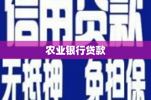 长岭农业银行贷款