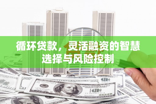 长岭循环贷款，灵活融资的智慧选择与风险控制