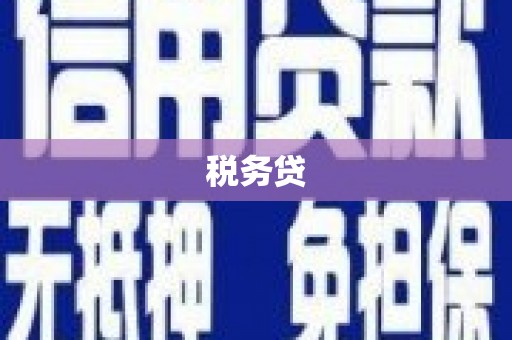 长岭税务贷