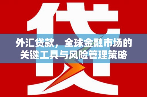 长岭外汇贷款，全球金融市场的关键工具与风险管理策略