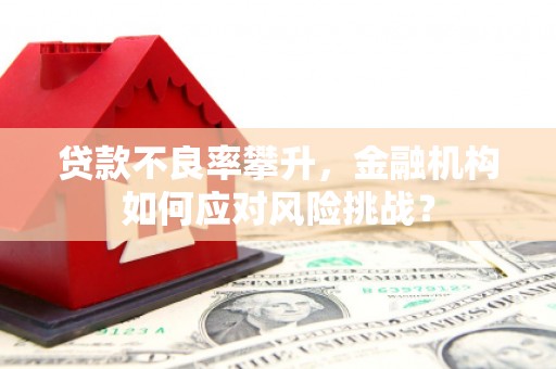 长岭贷款不良率攀升，金融机构如何应对风险挑战？