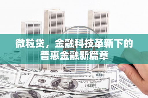 长岭微粒贷，金融科技革新下的普惠金融新篇章