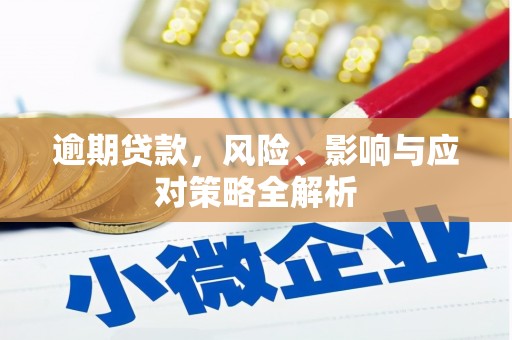 长岭逾期贷款，风险、影响与应对策略全解析