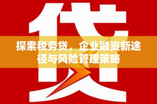 长岭探索税务贷，企业融资新途径与风险管理策略