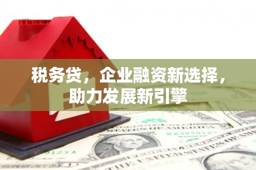长岭税务贷，企业融资新选择，助力发展新引擎