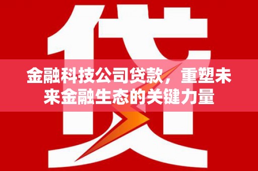 长岭金融科技公司贷款，重塑未来金融生态的关键力量