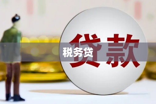 长岭税务贷