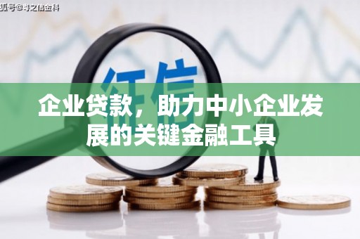 长岭企业贷款，助力中小企业发展的关键金融工具