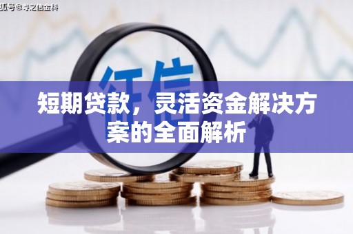 长岭短期贷款，灵活资金解决方案的全面解析