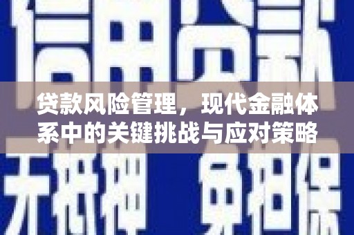长岭贷款风险管理，现代金融体系中的关键挑战与应对策略