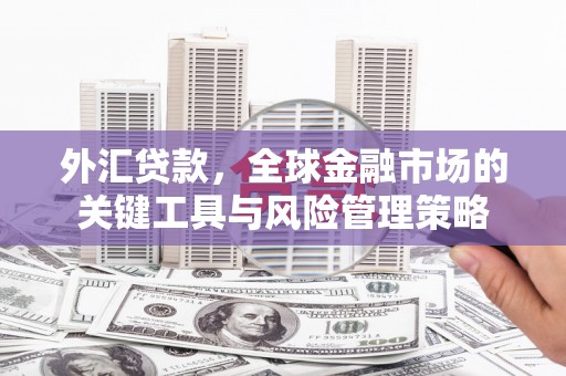 长岭外汇贷款，全球金融市场的关键工具与风险管理策略