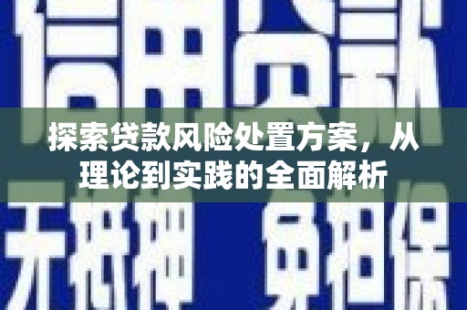 长岭探索贷款风险处置方案，从理论到实践的全面解析