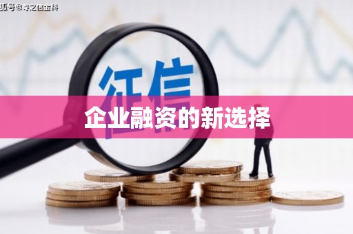 长岭企业融资的新选择