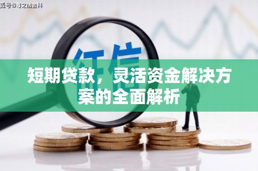 长岭短期贷款，灵活资金解决方案的全面解析