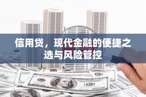 长岭信用贷，现代金融的便捷之选与风险管控