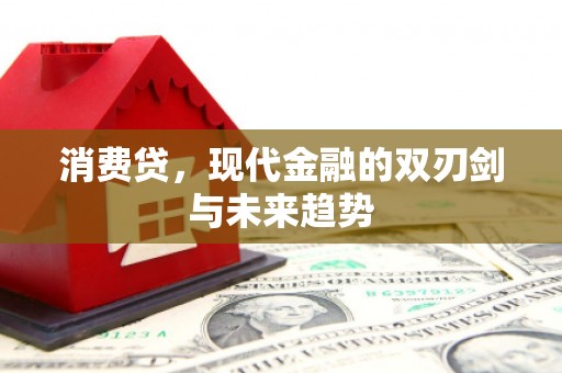 长岭消费贷，现代金融的双刃剑与未来趋势