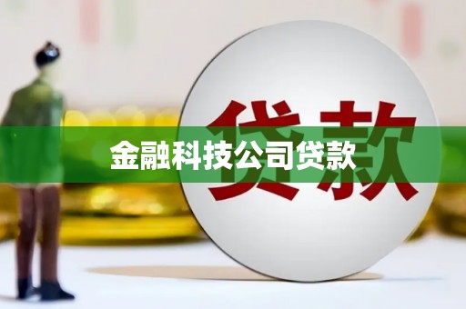 长岭金融科技公司贷款