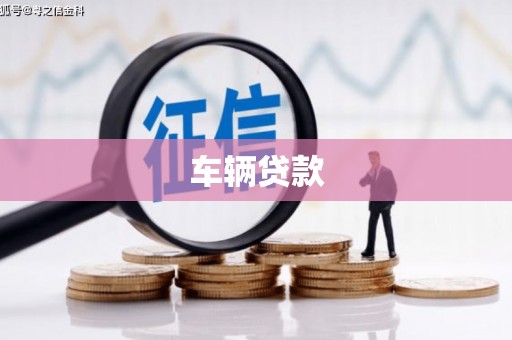 长岭车辆贷款