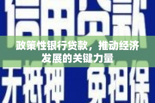 长岭政策性银行贷款，推动经济发展的关键力量
