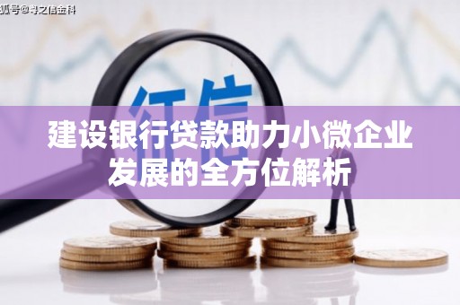 长岭建设银行贷款助力小微企业发展的全方位解析