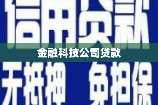 长岭金融科技公司贷款