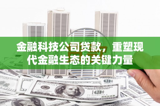 长岭金融科技公司贷款，重塑现代金融生态的关键力量