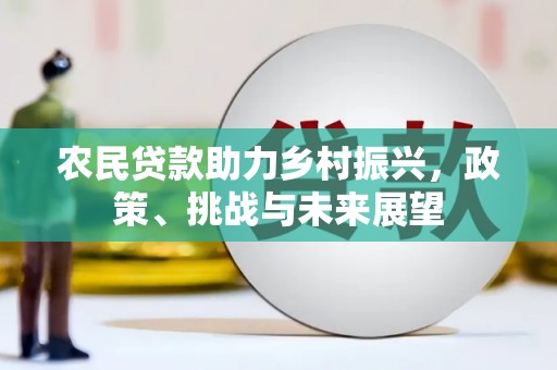 长岭农民贷款助力乡村振兴，政策、挑战与未来展望