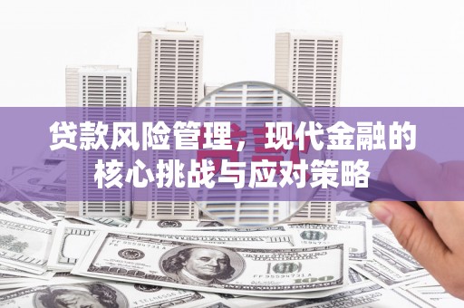 长岭贷款风险管理，现代金融的核心挑战与应对策略